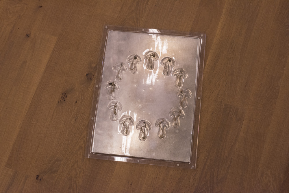 Michael Ray-Von - Fairy ring